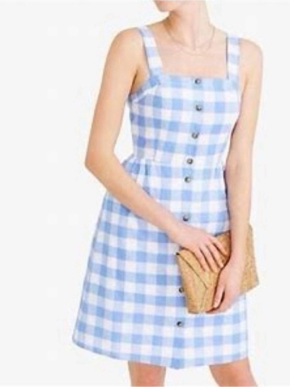 J. Crew Blue and White Gingham Button-Front Sundress